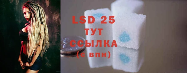 стаф Магас