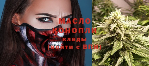 стаф Магас