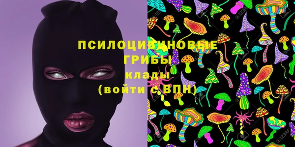 apvp Магадан