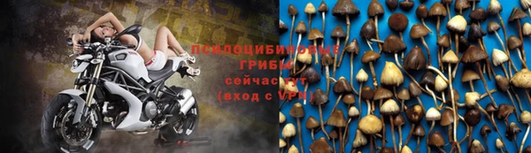 apvp Магадан