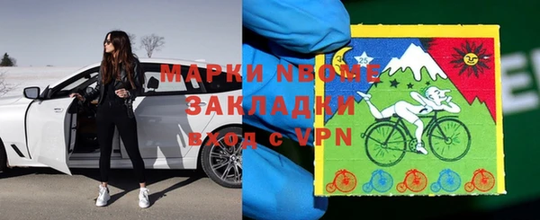 стаф Магас